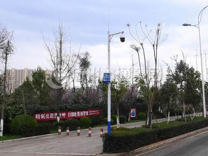 DJG-025，電子警察桿，治安監(jiān)控桿